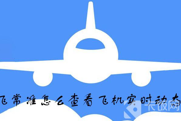 航班最新动态及查询步骤指南