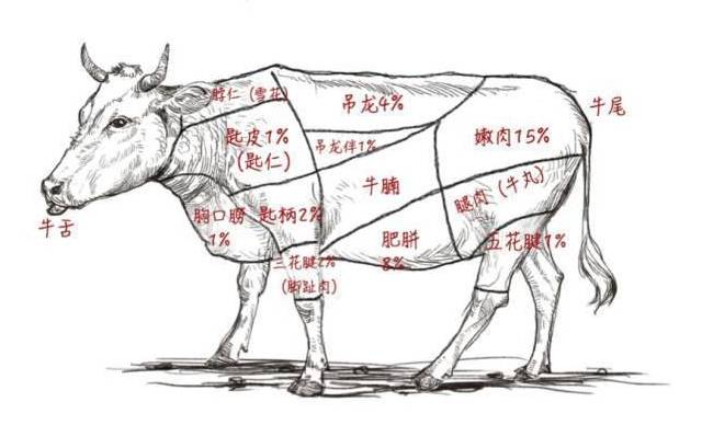 最新牛牛，深度探讨其含义与应用前景