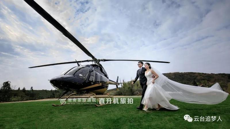 动车最新动态，温馨旅程的最新播报