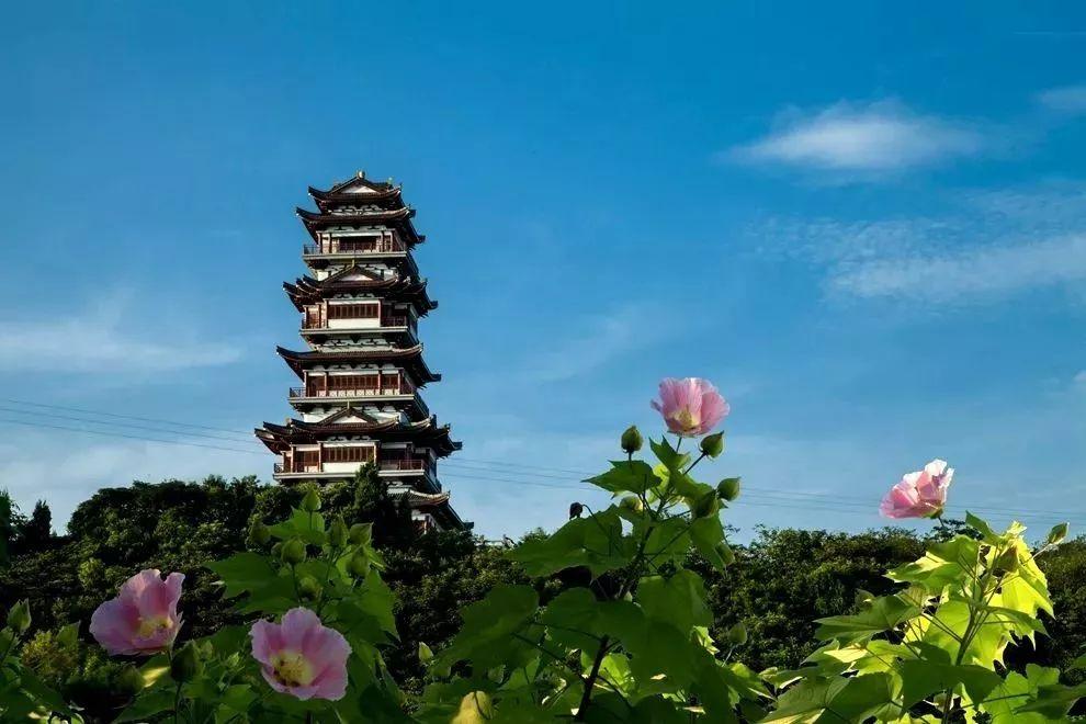 第162页