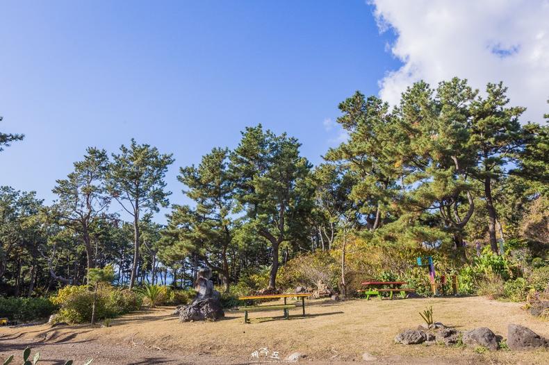 揭秘最新营销模式，探寻自然美景与内心平和之旅