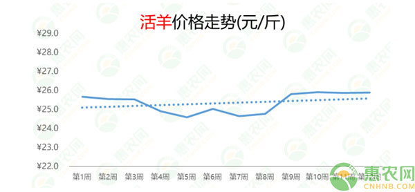 活羊最新价格概览，市场走势、影响因素与案例分析全解析