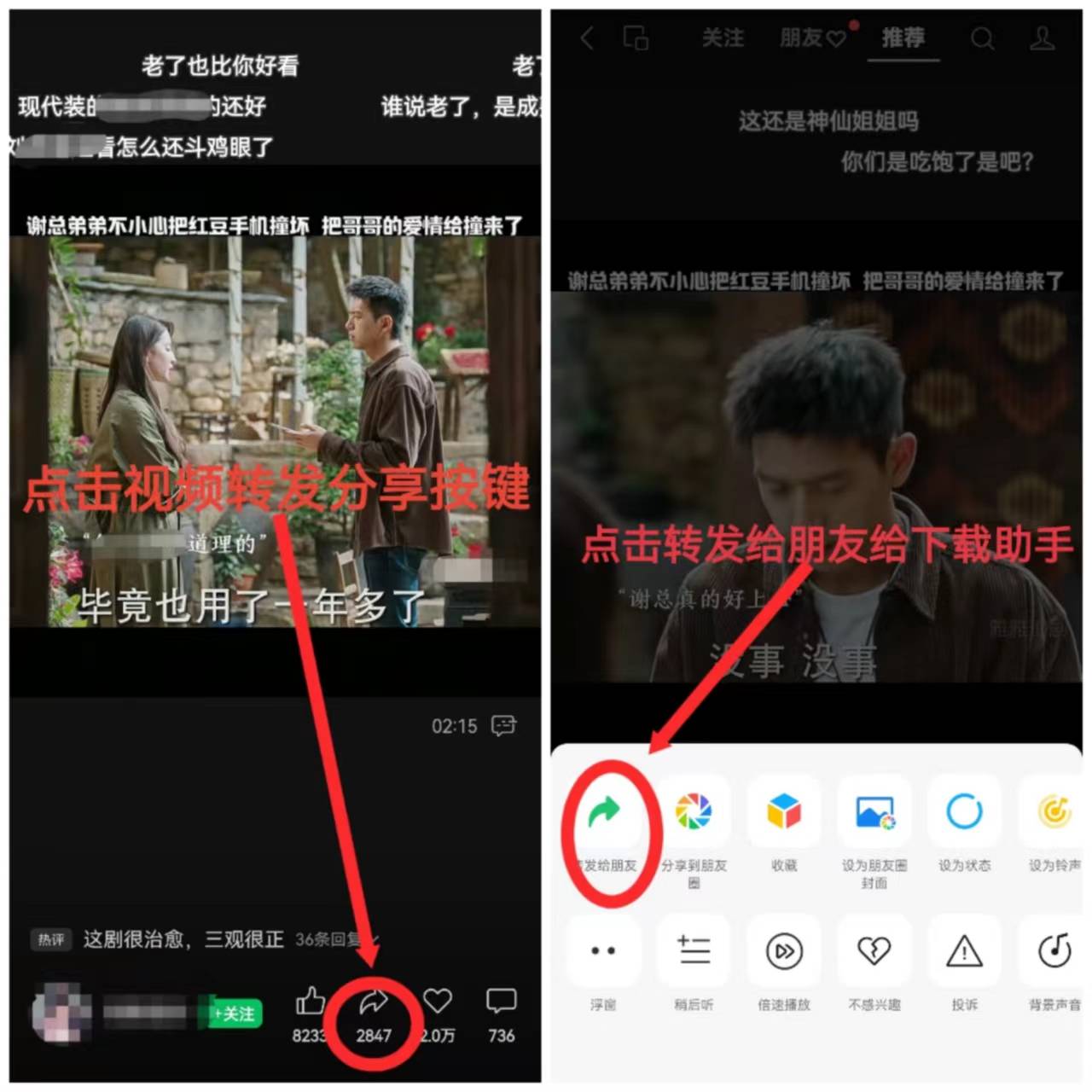 樱桃视频下载最新版步骤指南，轻松获取最新樱桃视频应用