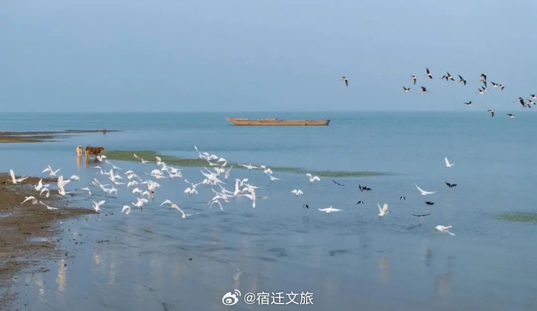 赣榆最新新闻，探寻自然之美，心灵宁静之旅