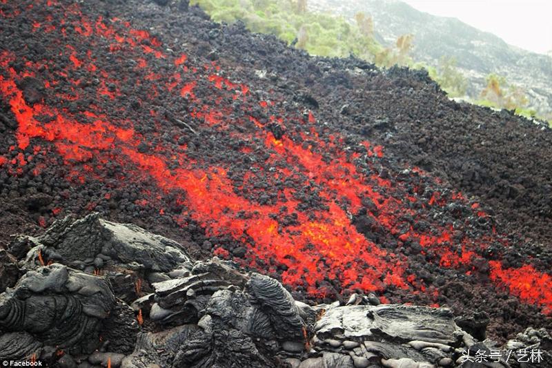火山最新,火山最新，炽热的友情与温馨的日常
