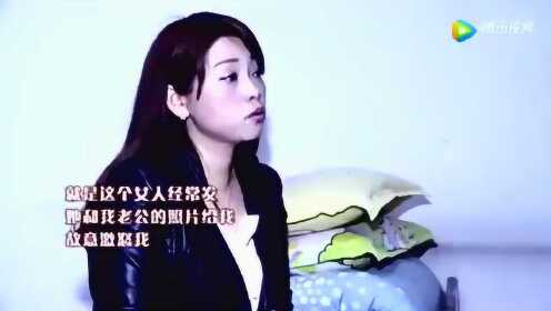 最新一期寻情记深度剖析，人与情感关系的探索之旅