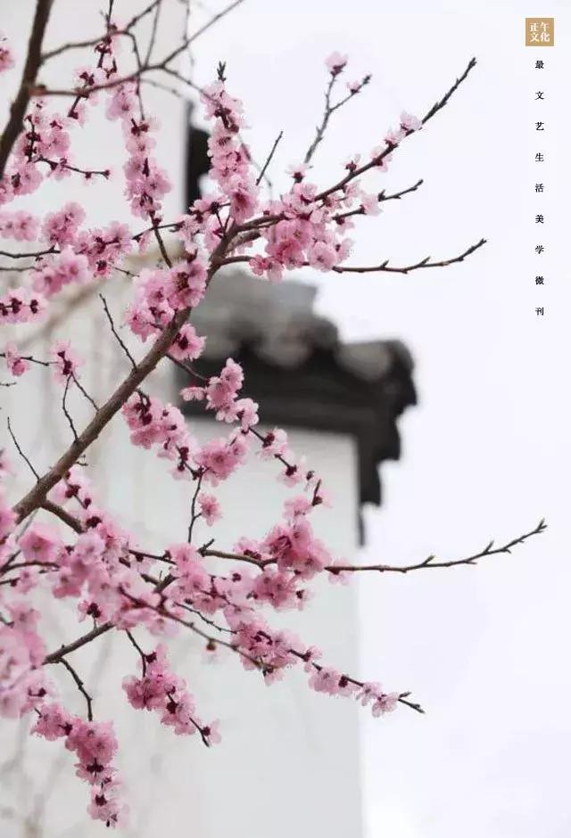 最新产品代理,最新产品代理，小明的奇妙旅程与友情的绽放