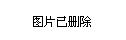 辞海最新版，小巷中的文化瑰宝，独特小店揭秘知识宝藏