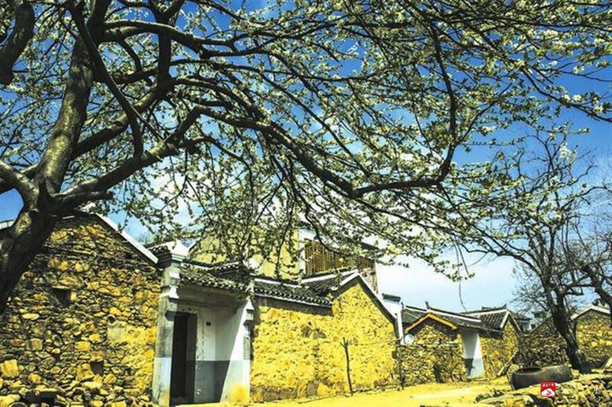 广水最新新闻，拥抱自然，内心宁静之旅启程