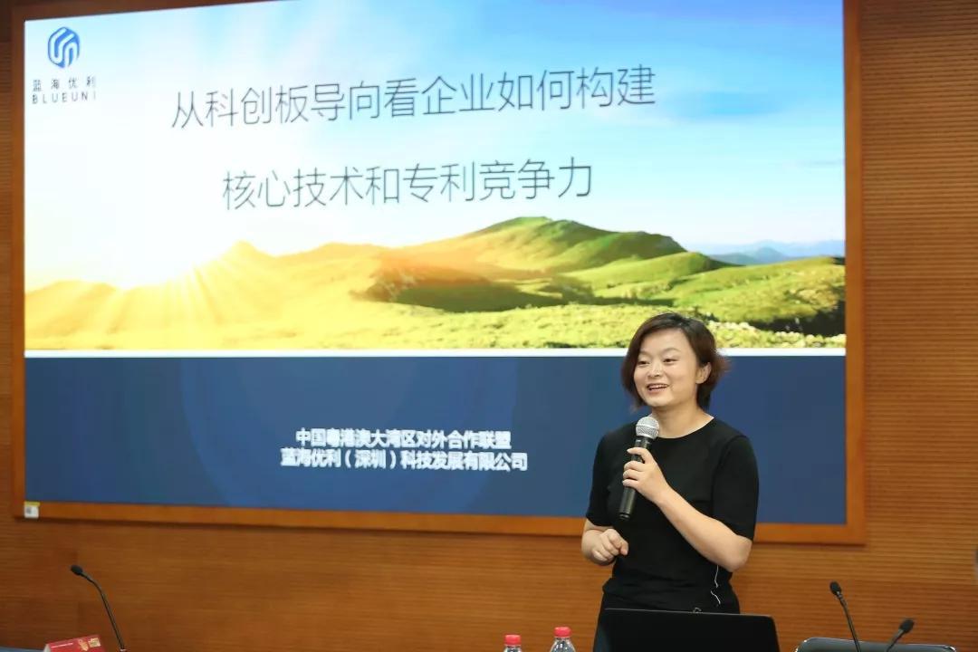 上交所最新公告解读，市场新动向与投资者关注点分析