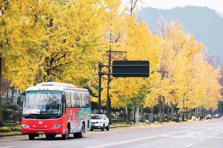 成都交通最新动态，一路畅行，温馨旅程伴你行