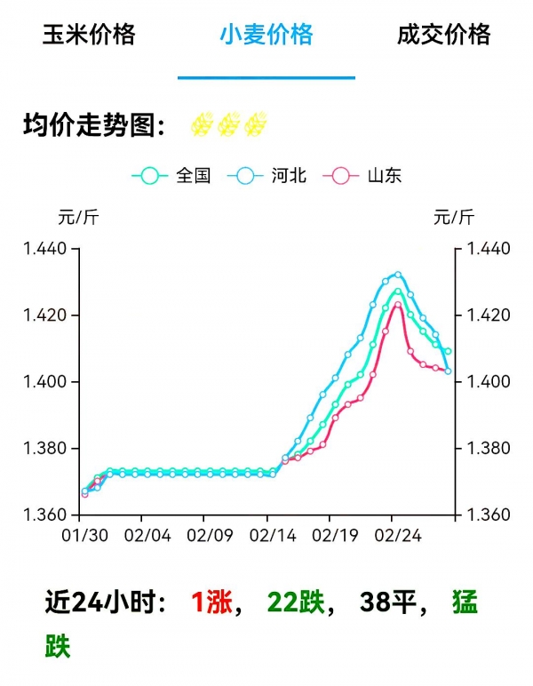 市场动态
