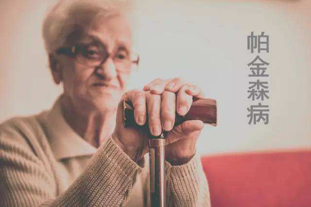 帕金森最新治疗方法,帕金森最新治疗方法，一场探索自然美景的治愈之旅