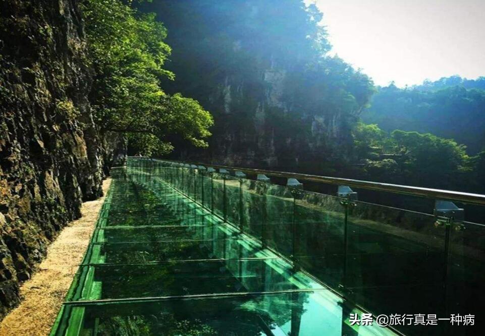最新电影BD大全，一览无余的影视盛宴