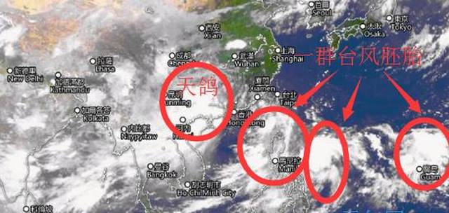 最新台风消息天鸽，风云变幻中的学习与自信之航