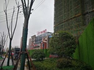 塘沽湾最新动态，小巷深处的独特风情