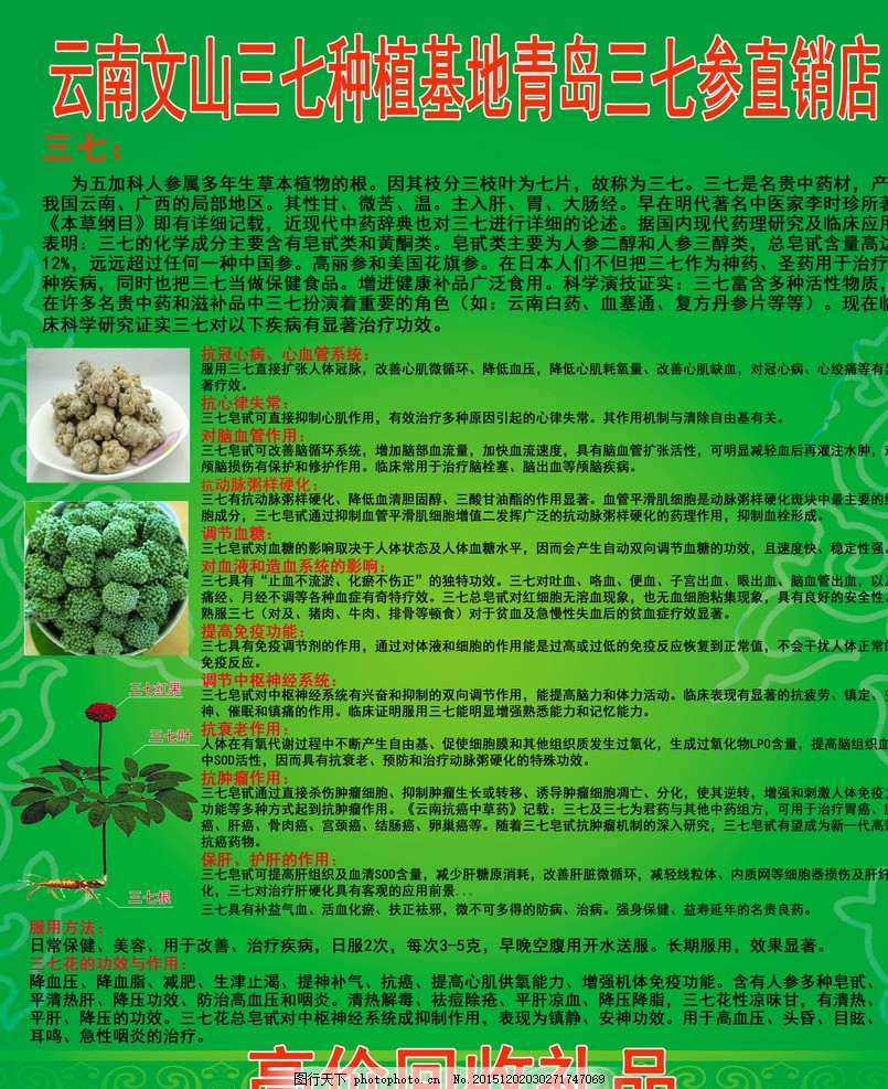 文山三七最新价格