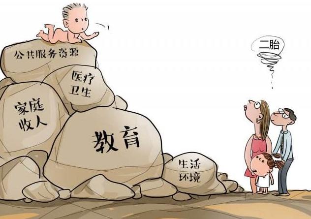 人口政策最新动态，影响与一种观点的深度解析