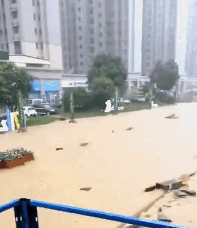 台风最新动态，台风16号路径步骤指南