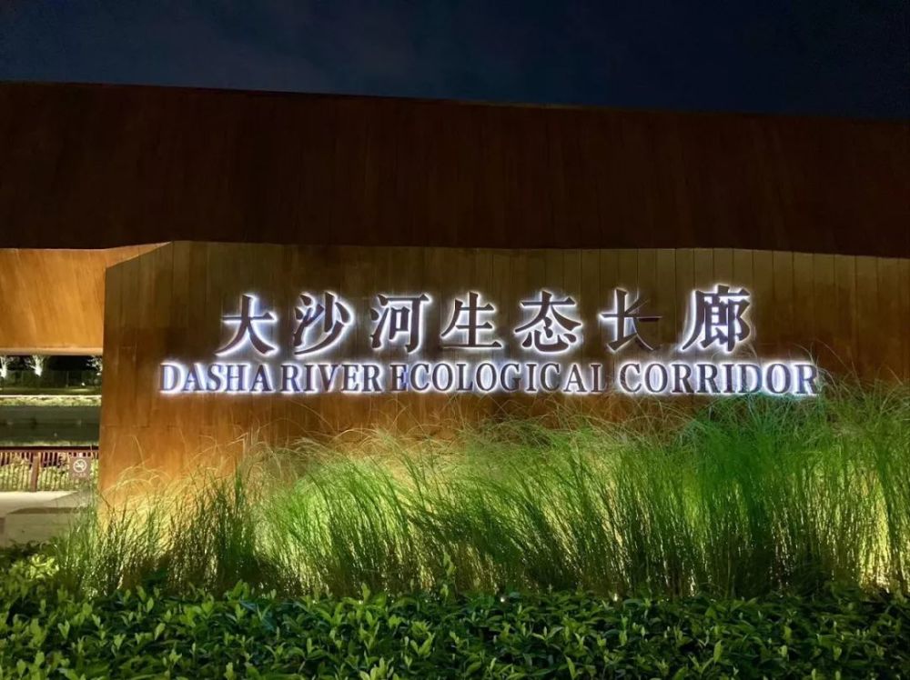 深圳南山区最新站街女信息查询指南（警示，不鼓励非法行为）