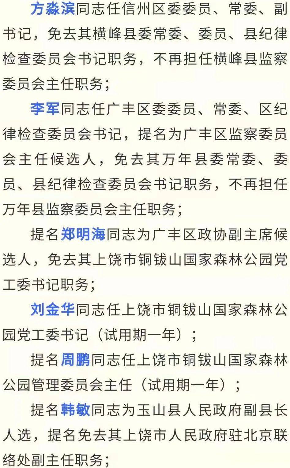吴川市最新干部任免动态解析及影响