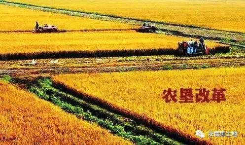 农垦归地方改革最新动态，深度探讨与最新消息