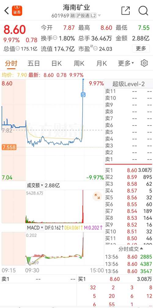 海南矿业股票最新动态解析，最新消息论述