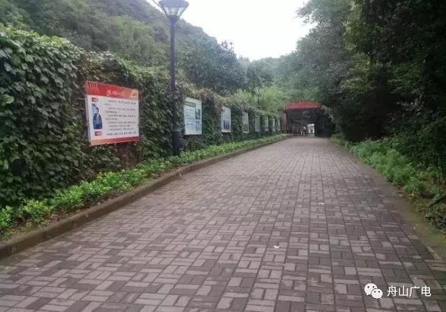 舟山旧城改造最新动态，探索自然美景之旅，寻求内心平和宁静的旅程