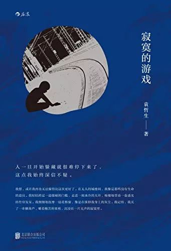 叶正豪小说最新章节深度解析与探讨