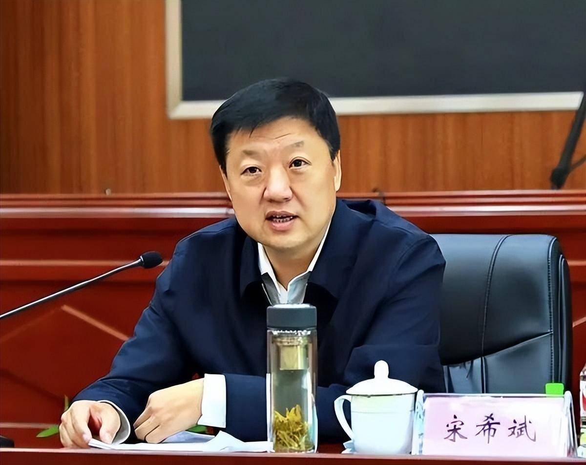 宋希斌最新消息揭秘，动态更新与热议焦点