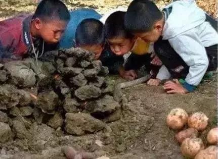 项城挖河最新动态及观点论述