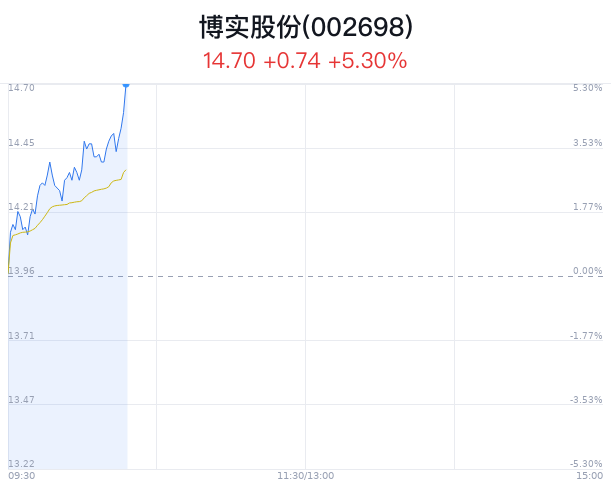 博实公司最新动态速递，最新消息一览📣🚀
