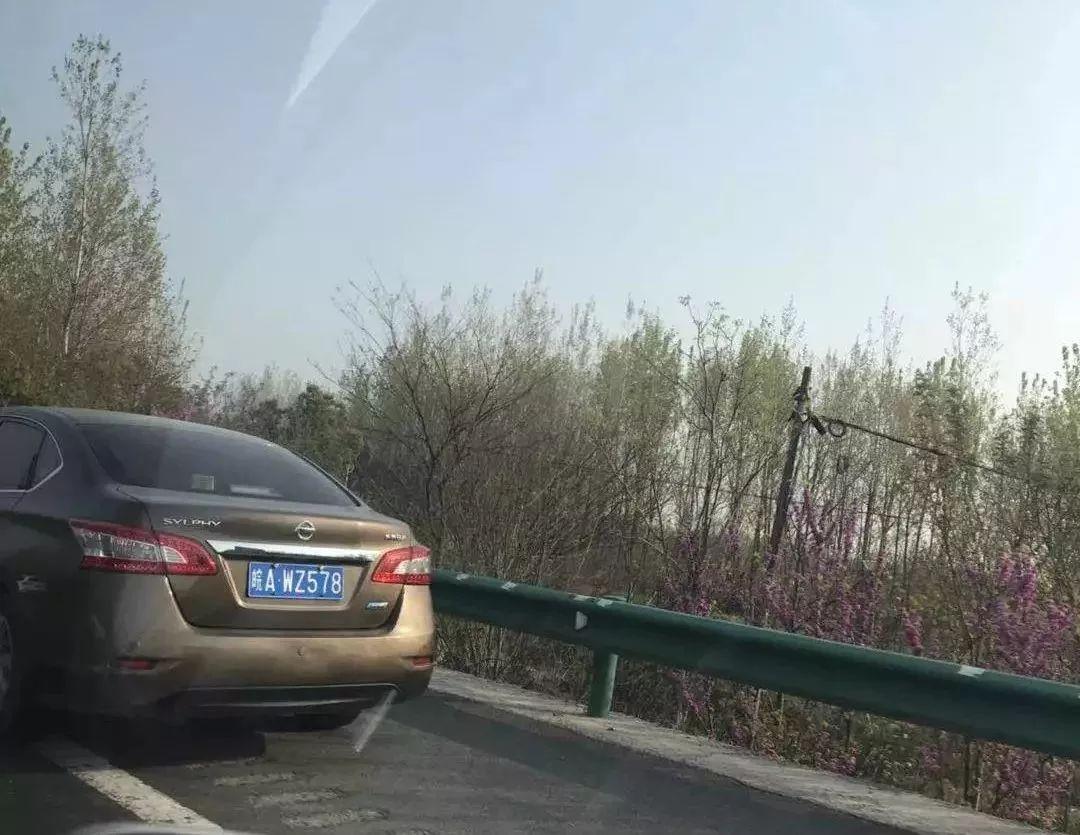 滁天高速最新动态